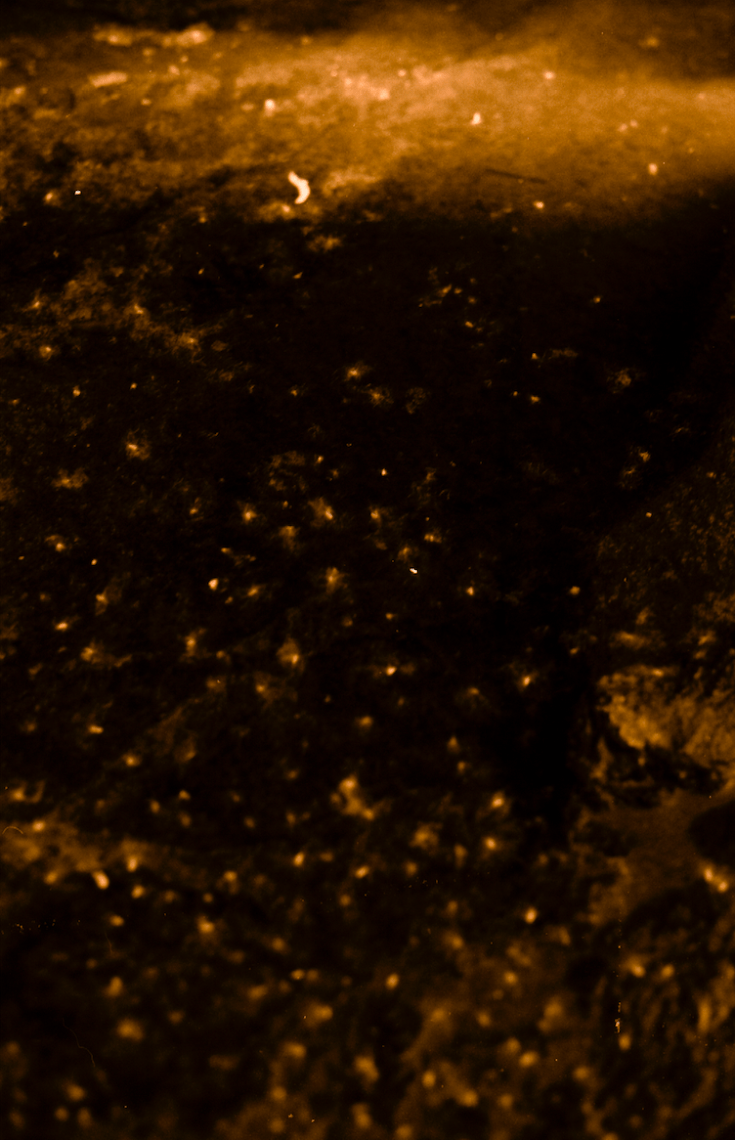 火星二号-清醒梦05